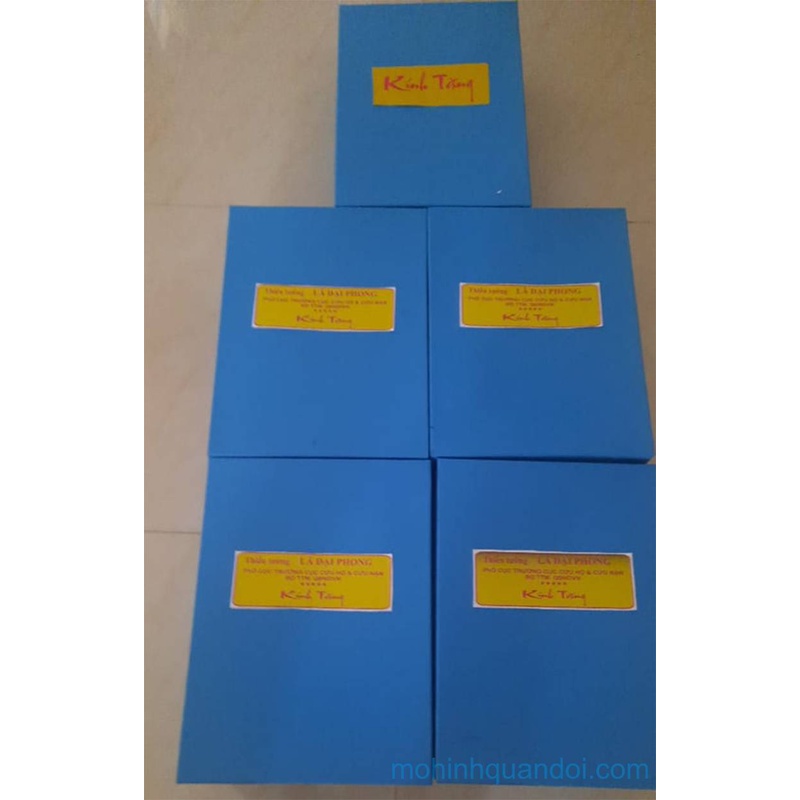 Mô hình máy bay Su-30MK2