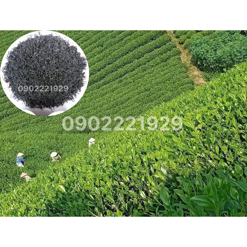 1kg TRÀ NÕN TÔM CAO CẤP