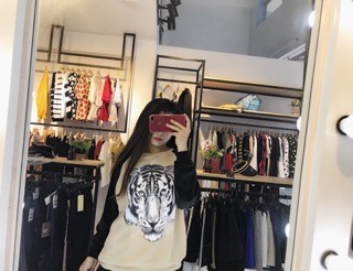 Pull hổ