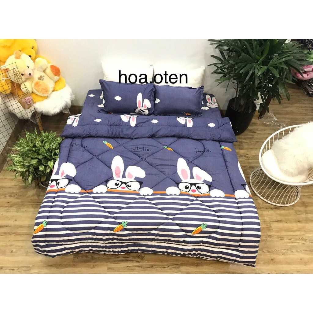 [Xả Kho] Chăn Phao Poly Bông Siêu Ấm Siêu Nhẹ Ảnh Thật 1M9x2M | BigBuy360 - bigbuy360.vn