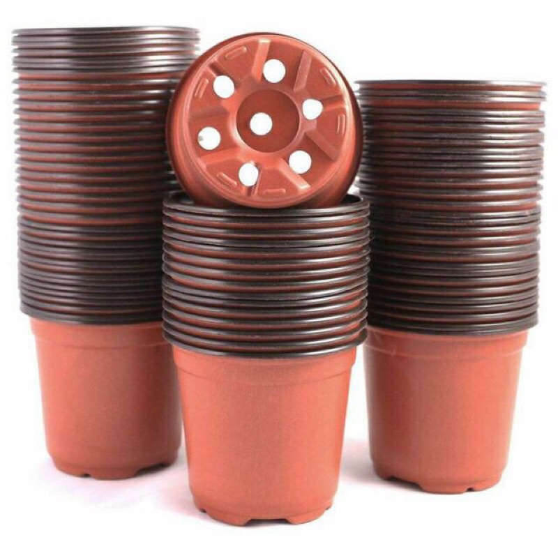 20 Chậu nhựa trồng cây tiện lợi size trung