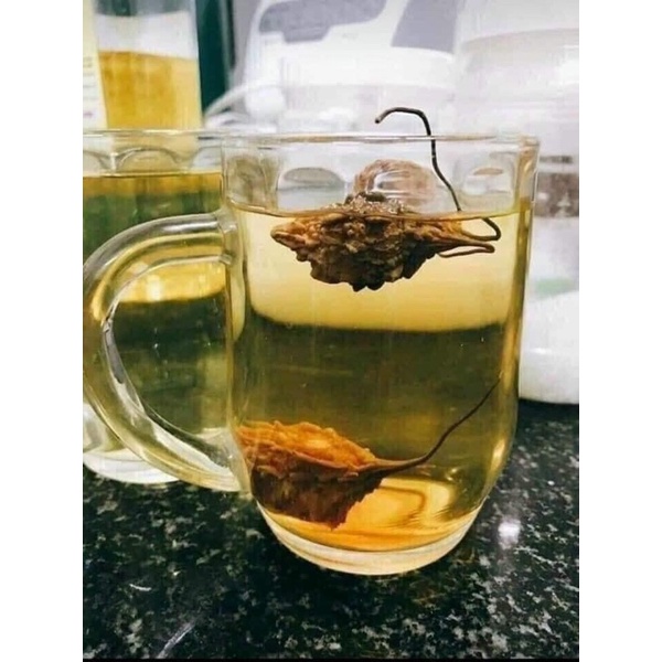 Quả mướp đắng rừng khô