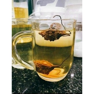 Quả mướp đắng rừng khô