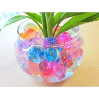 Hạt nở Nhật Bản (gói 100g)