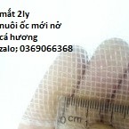 Lồng Nuôi cá ốc, Ếch, 10 x 4 x 1 có lắp che chắn tráng nuôi Cá ốc ếch Từ Nhỏ Tới To, Lưới Thái Lan sản phẩm tốt 121