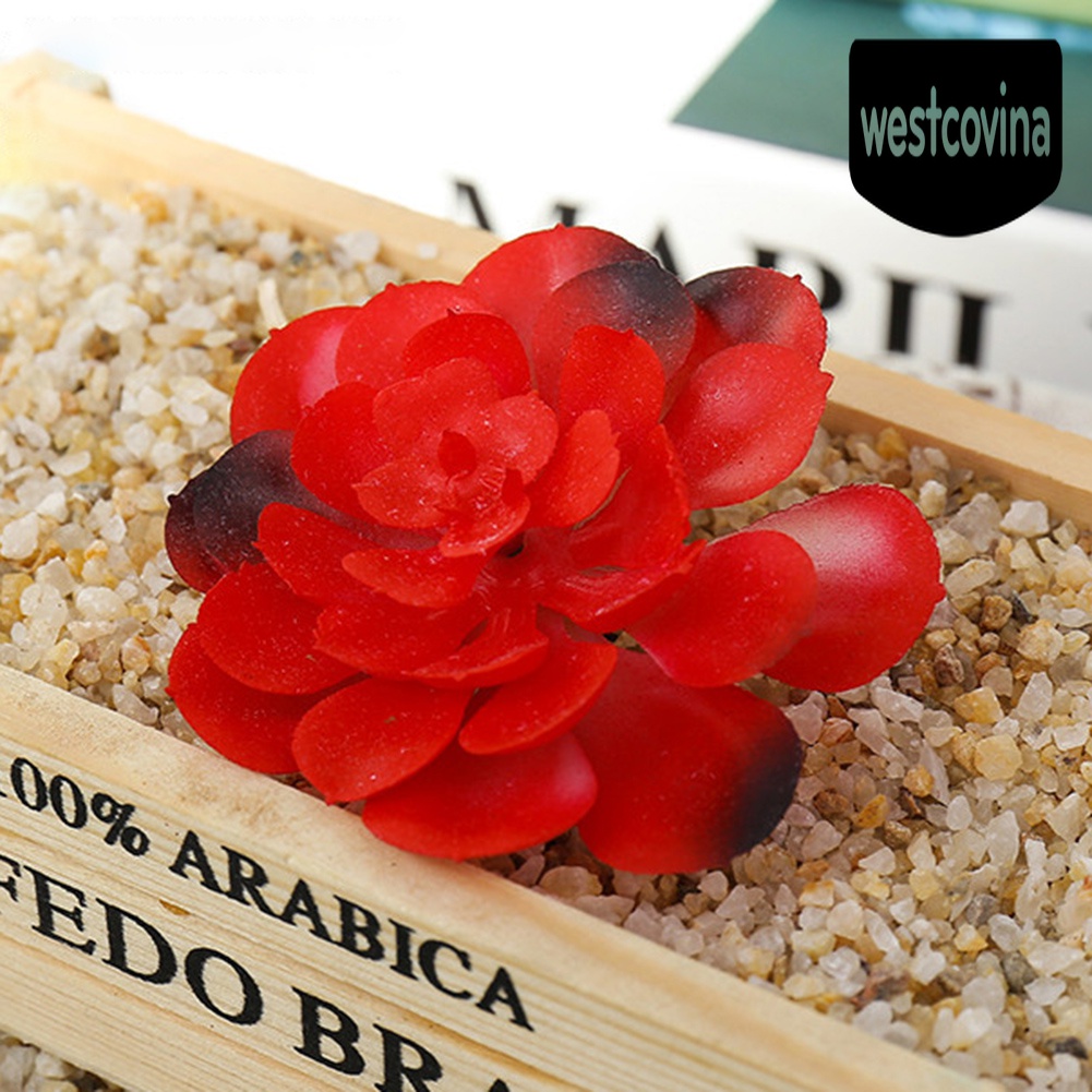 [Hot]☀ 1 Cây Mọng Nước Nhân Tạo Nhiều Màu Sắc Dùng Trong Trang Trí