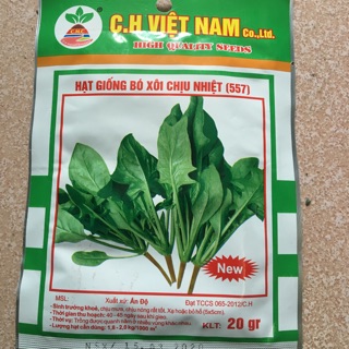 HẠT GIỐNG CẢI BÓ XÔI CHỊU NHIỆT GÓI 20gr