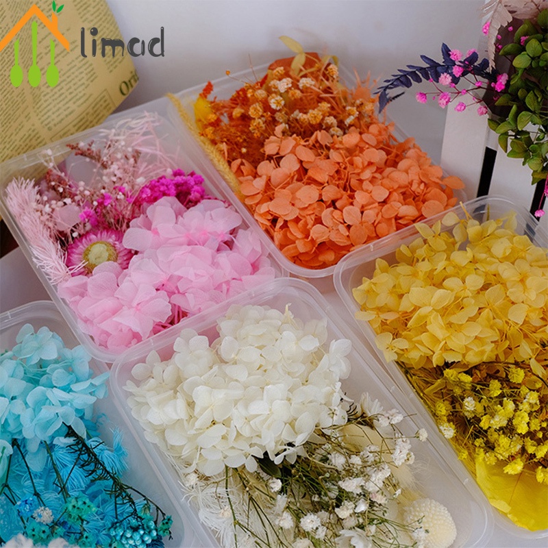 Túi Hoa Khô Nhiều Màu Sắc Dùng Trang Trí Nhà Cửa DIY