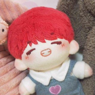 Doll BTS Little Tae.