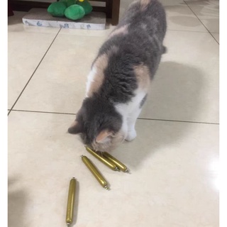 🐱🐶 Xúc Xích Cho Cún Mèo