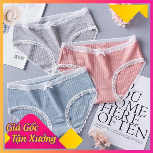 Quần Lót Cotton Tăm Viền Ren xuất Nhật 5362