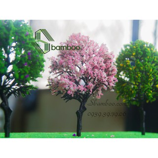 CÂY HOA ANH ĐÀO 14cm