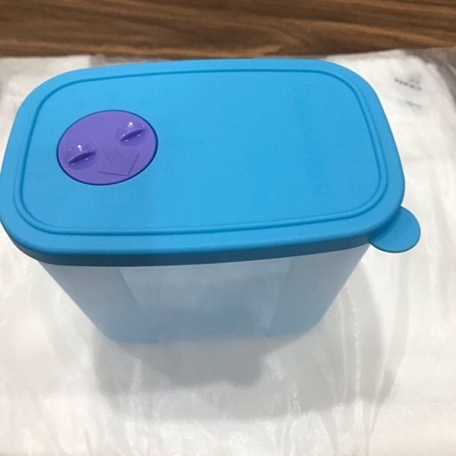 Hộp trữ đông 820ml Tupperware