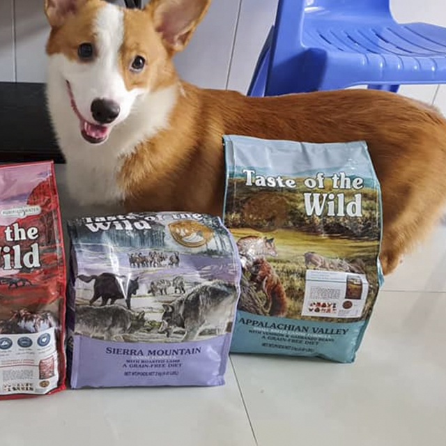 Thức Ăn Cho Chó Corgi,  Taste Of The Wild Bao 2kg - Thức Ăn Cho Chó, Vị Thịt Nai &amp; Đậu Garbanzo