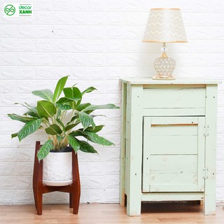 Kệ gỗ để chậu cây, kệ để chậu hoa loại chân khuỳnh, lắp ghép đơn giản, KT 24x37cm