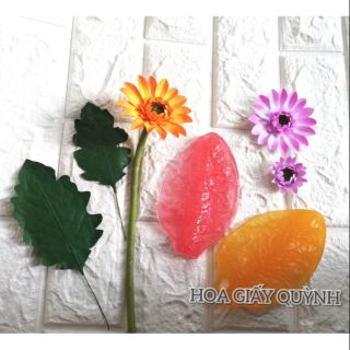 GÂN LÁ ĐỒNG TIỀN/ CÚC ĐẠI ĐÓA