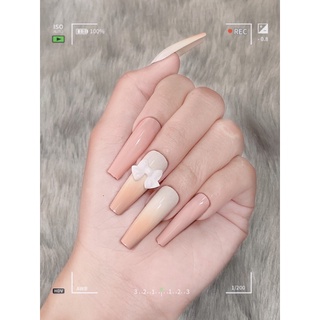 nailbox thiết kế theo size 011