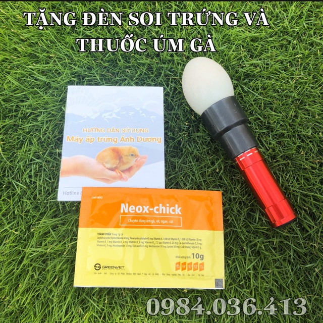 Máy ấp trứng mini Ánh Dương khay tự động đảo 108 quả TẶNG ĐÈN SOI TRỨNG và thuốc úm gà