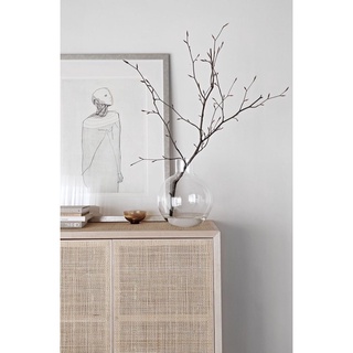 Nhánh cây khô trang trí, decor