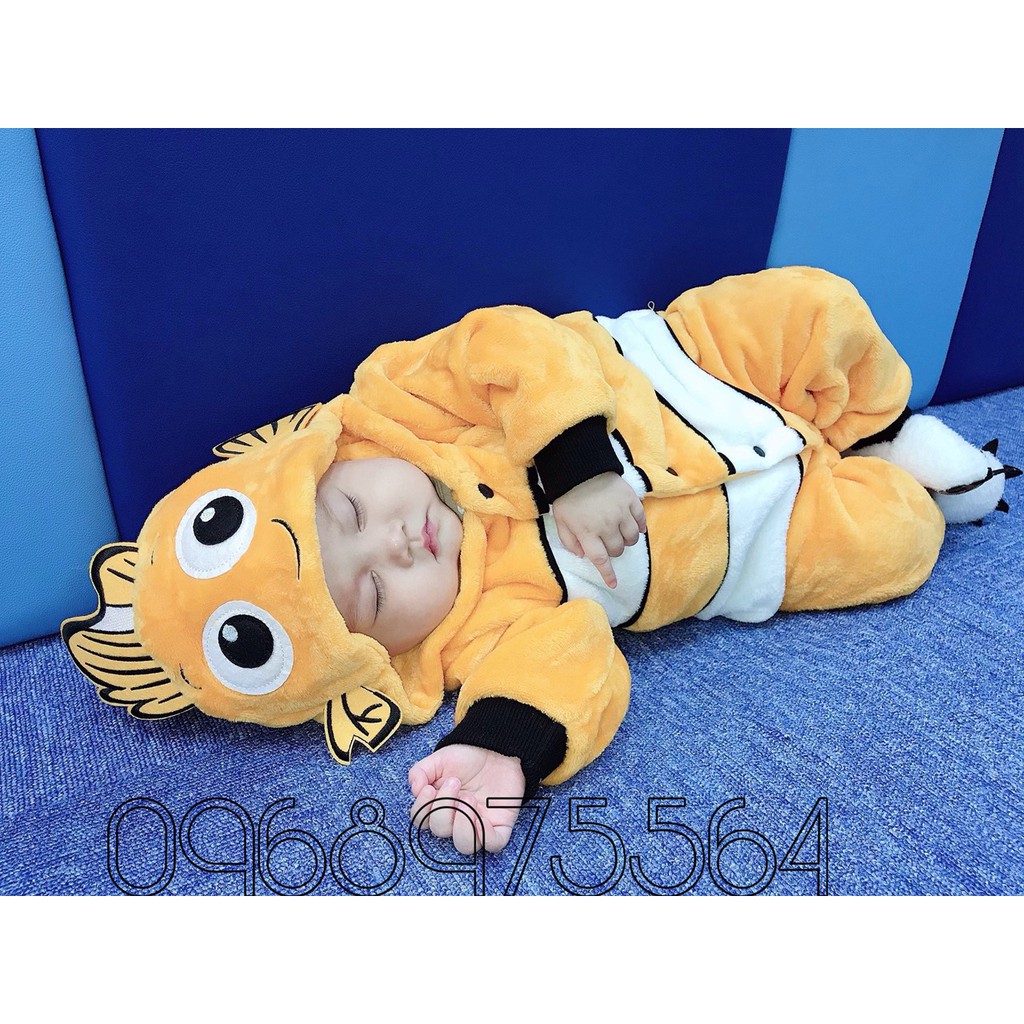 Cá NeeMo Lông cừu cao cấp