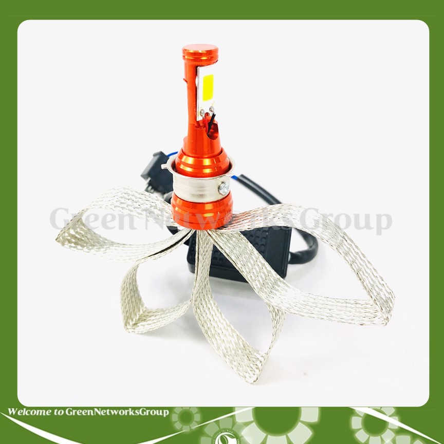 Đèn Led râu tản nhiệt chân H4 2 tim 20W Greennetworks