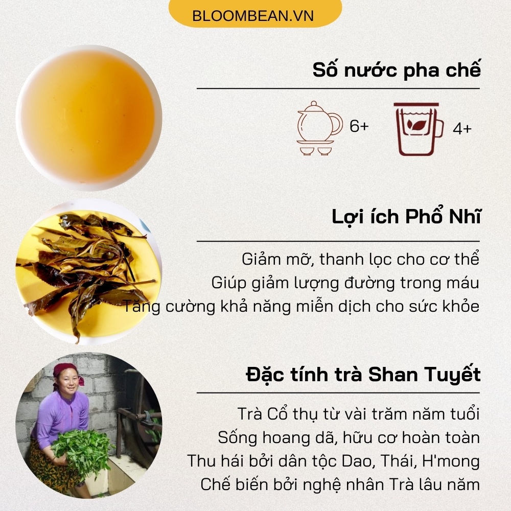 Trà Chít  -  Trà Shan Tuyết hữu cơ - Bloombean