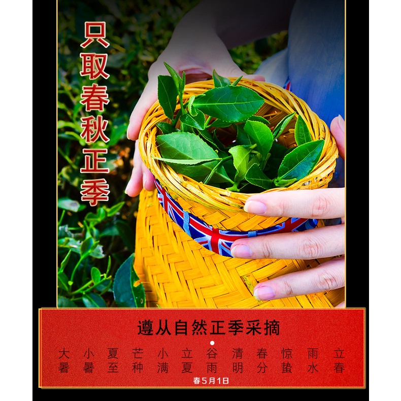 Trà phổ nhĩ chín hóa thạch hương nếp, trà cổ thụ Vân Nam Hộp 200 gram