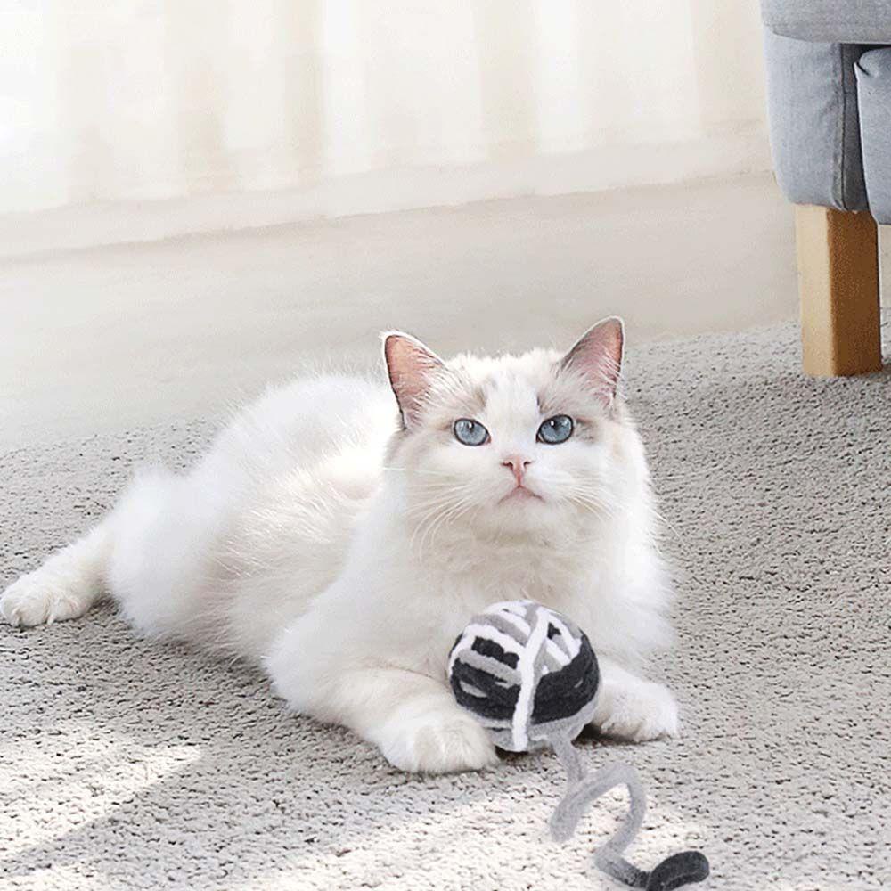 Bóng Đồ Chơi Nhiều Màu Cho Mèo