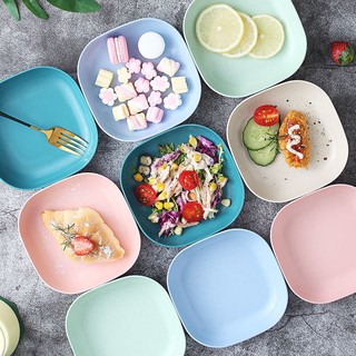 Set đĩa nhựa lúa mạch siêu rẻ