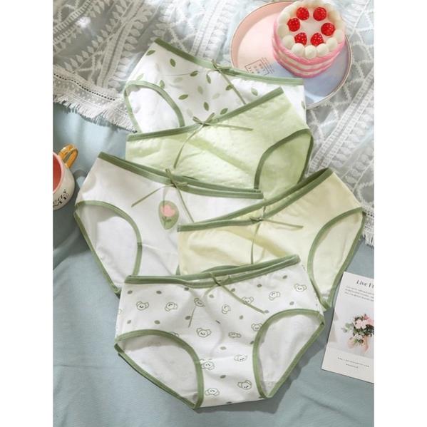 ❤️ Quần Lót Nữ Cotton Myna Xanh Lưng Vừa Thoáng Khí Thoải Mái Cho Nữ 299 ❤️