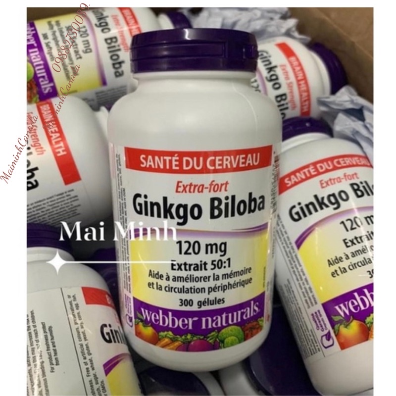 Viên uống bổ não Ginkgo Biloba 120mg  date 3/2027