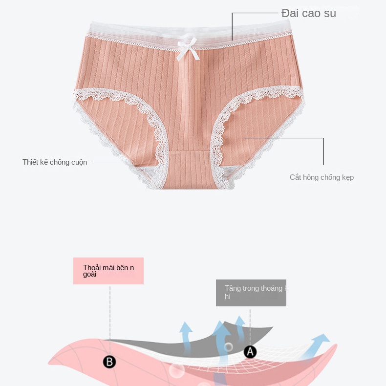 Quần Lót Cotton Phối Ren Thoải Mái Quyến Rũ Cho Nữ