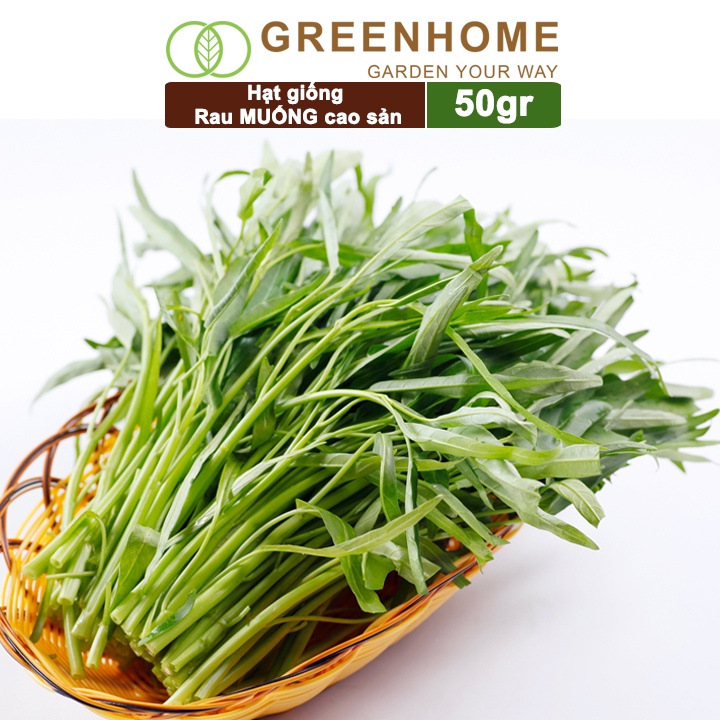 Hạt giống rau Muống cao sản, gói 50g, dễ trồng, thu hoạch nhanh R09 |Greenhome