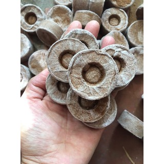 Viên nén ươm hạt - viên nén xơ dừa