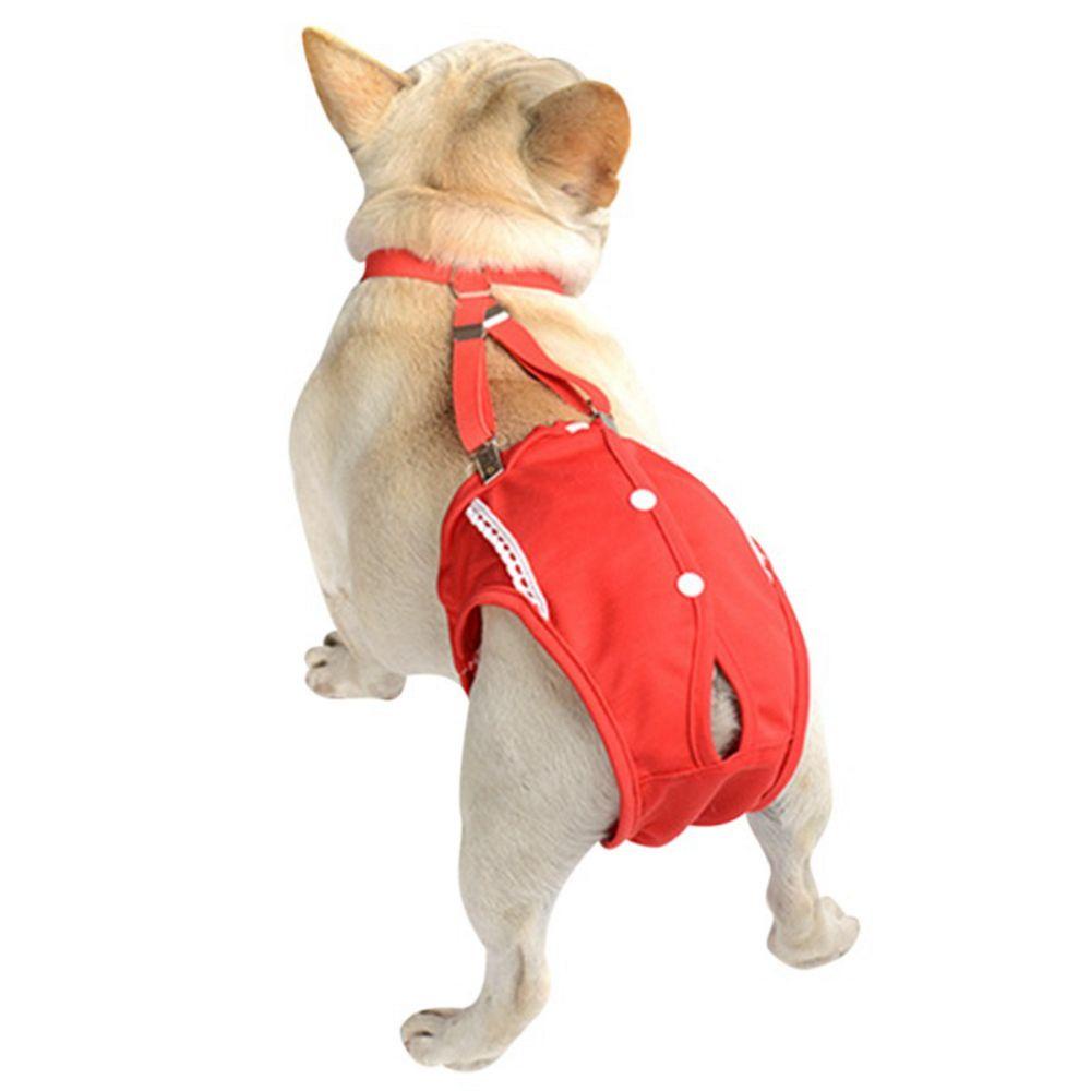 AUGUSTINA Quần Lót Sinh Lý Đáng Yêu Cho Thú Cưng