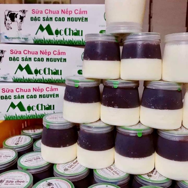 Sữa chua Mộc Châu