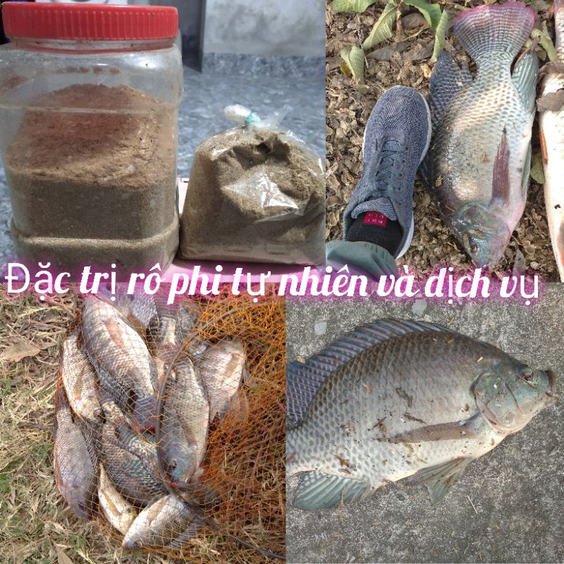 mồi câu cá rô phi vị tanh+thơm , chuyên rô phi tự nhiên và dịch vụ 300gam.