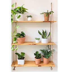 Kệ decor dây thừng treo cây cảnh, đồ trang trí đẹp gỗ thông tự nhiên.