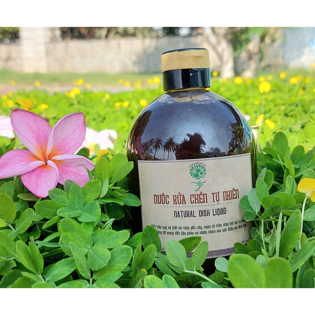 Nước Rửa chén organic Bồ hòn