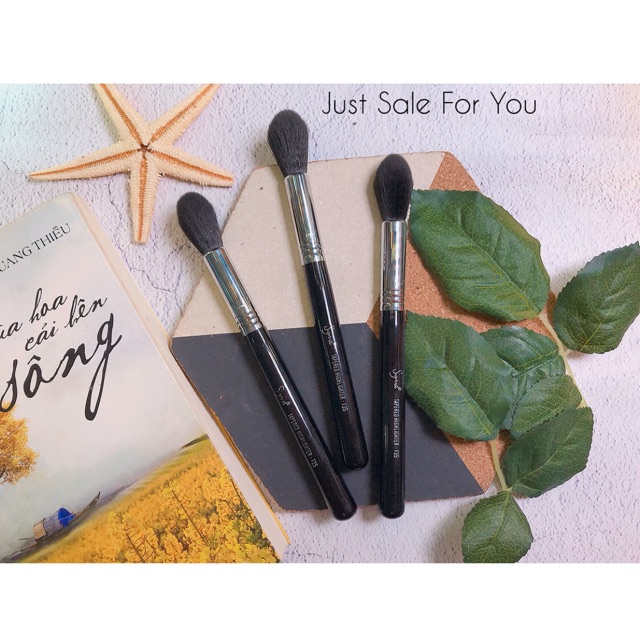 |SIGMA| Cọ Highlight Bắt Sáng Sigma F35