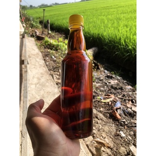 Nước mắm cá linh nhà nấu