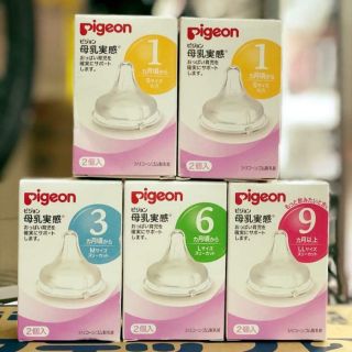 Núm Pigeon cổ rộng 160ml và 240ml size SS S M L LL