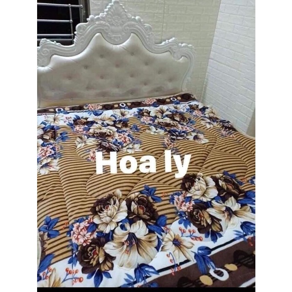 chăn lông cừu
