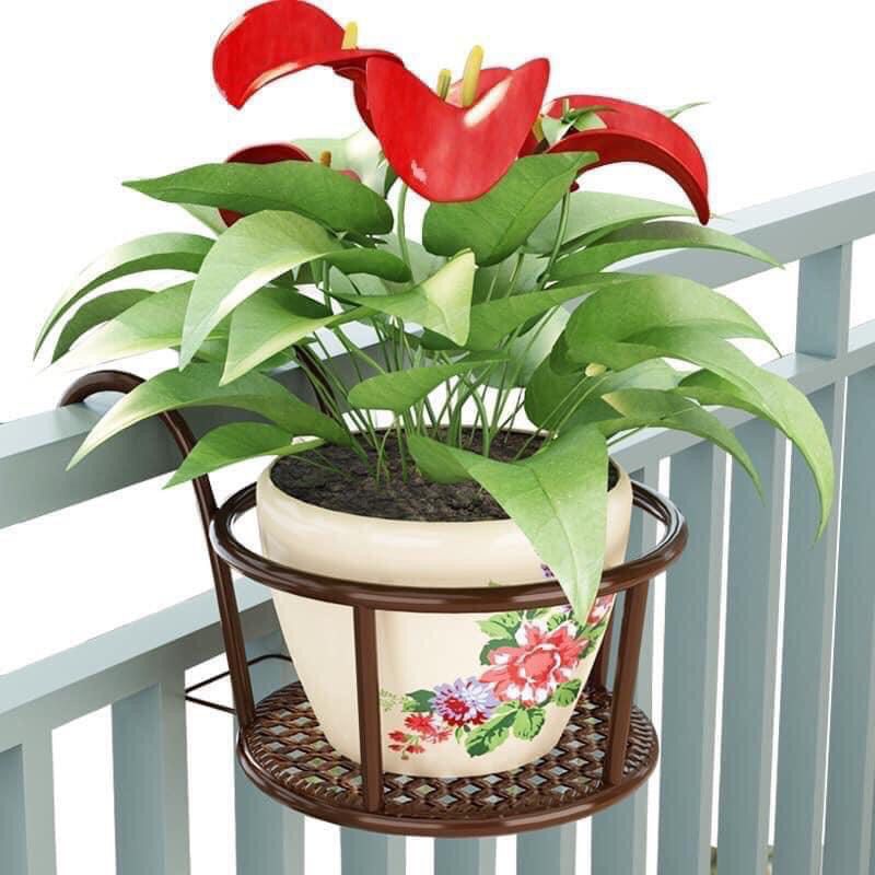 Giỏ Treo Hoa Ban Công TH Garden - Giỏ Sắt Treo Ban Công Cao Cấp Thép Chịu Lực Và Sơn Tĩnh Điện