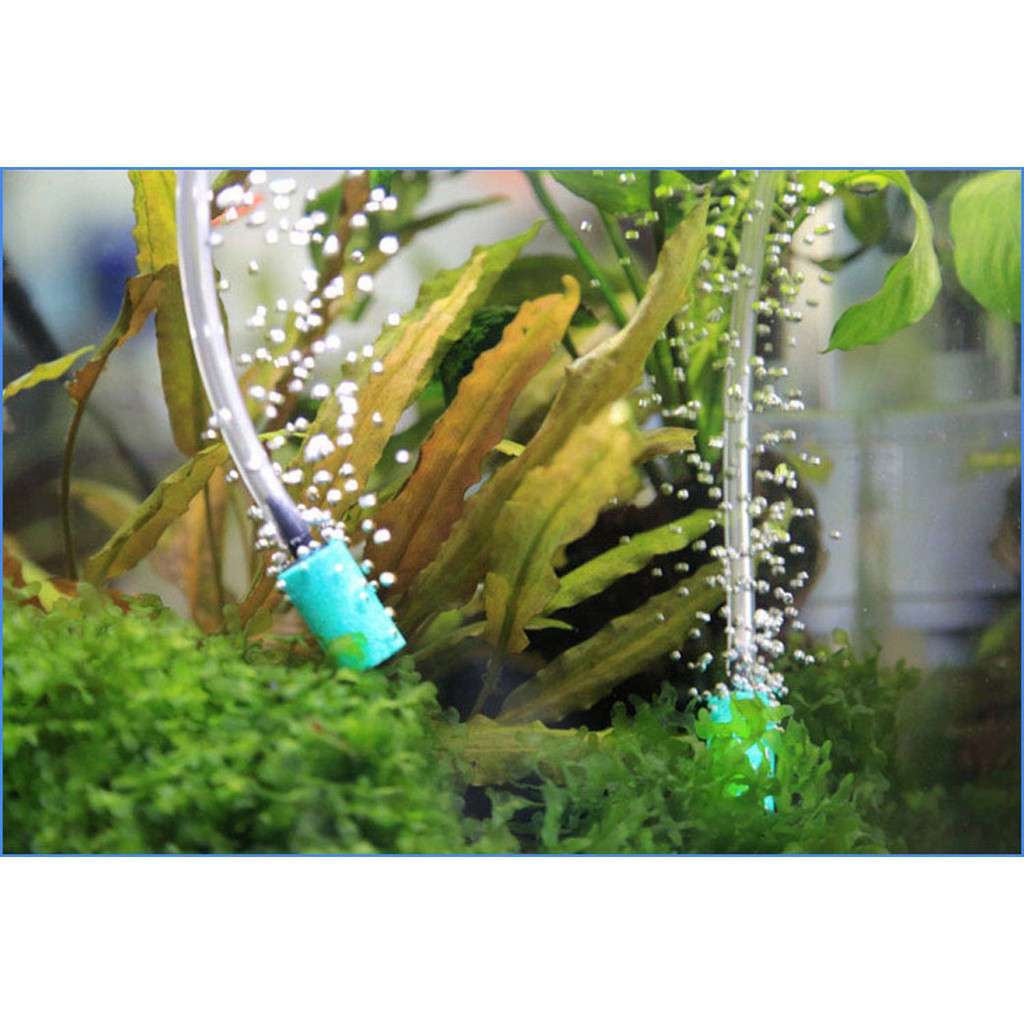 Dây Sủi Oxy Cho Hồ Cá | Siêu Khít | 1 Mét Loại 4 Li