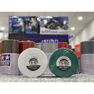 Sơn xịt ts 100ml