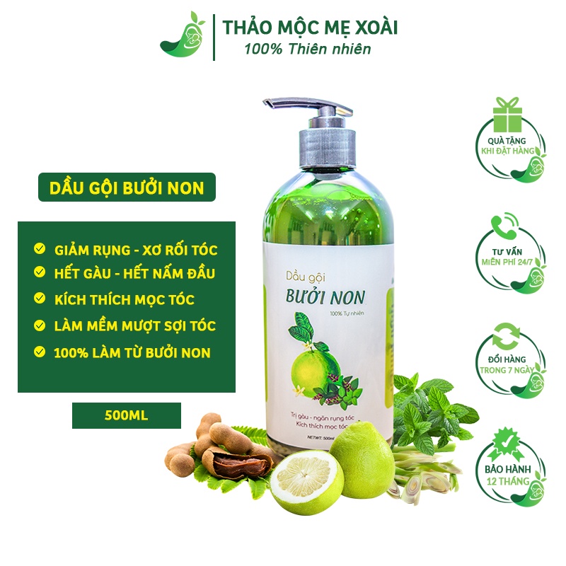 Dầu gội bưởi MẸ XOÀI dầu gội 500ml làm từ vỏ bưởi non làm mượt tóc, giảm rụng tóc, kích thích mọc tóc, giảm gàu, nấm MX2