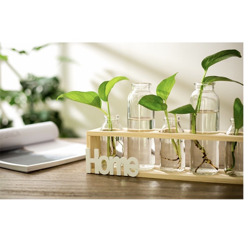 Kệ chữ home kèm bình thủy sinh siêu đẹp