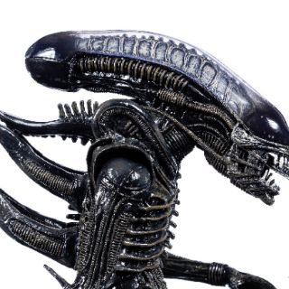 Mô hình NECA Alien Big Chap có sẵn