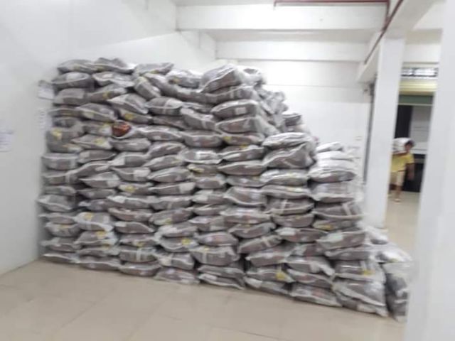 Cát Vệ Sinh Cho Mèo Catlike | Túi 8L, 5L | Đủ Mùi Cafe, Táo, Chanh, Hoa Hồng, Lavender